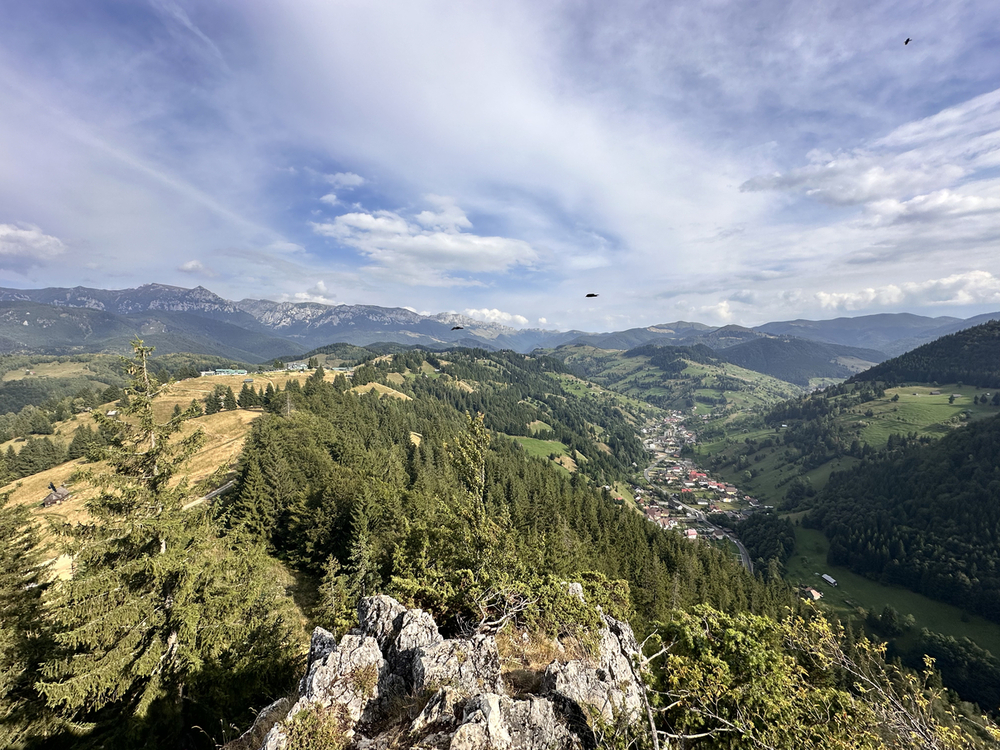 Moieciu de Sus, a flourishing rural village just 8 km from Bran Castle