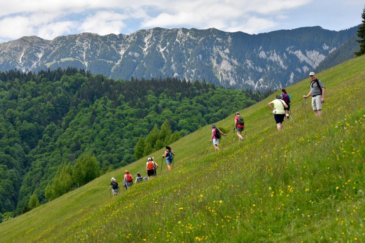 Hiking the Piatra Craiului Mountain range in Transylvania